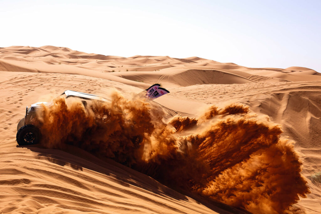 Roses Des Sables 2025 Amédézal